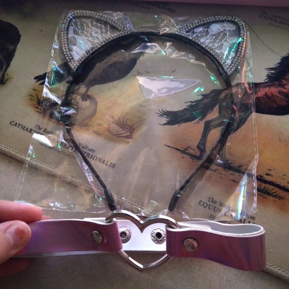 Lace Cat Ears Headband and Heart Choker